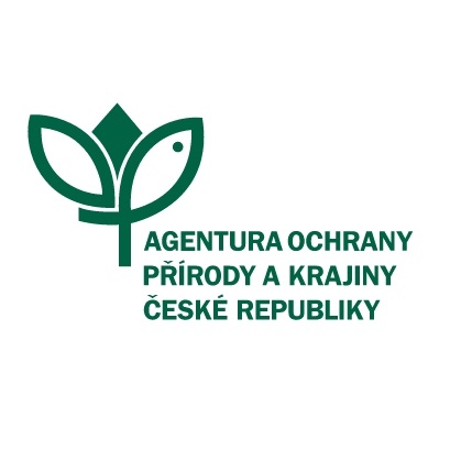 Ochrana dřevin při stavební činnosti