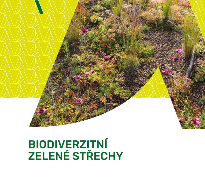 Biodiverzitní zelené střechy
