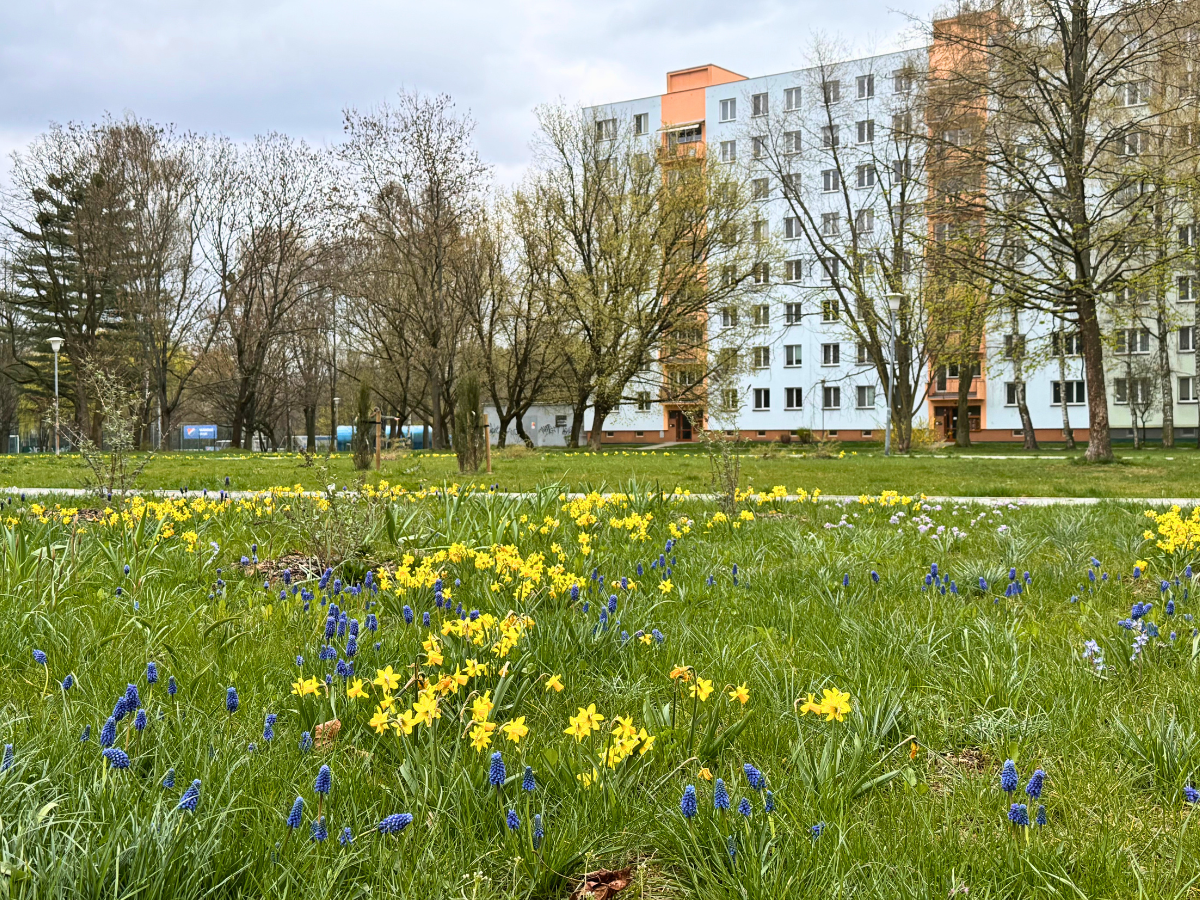 Revitalizace zeleně, Ostrava – Poruba