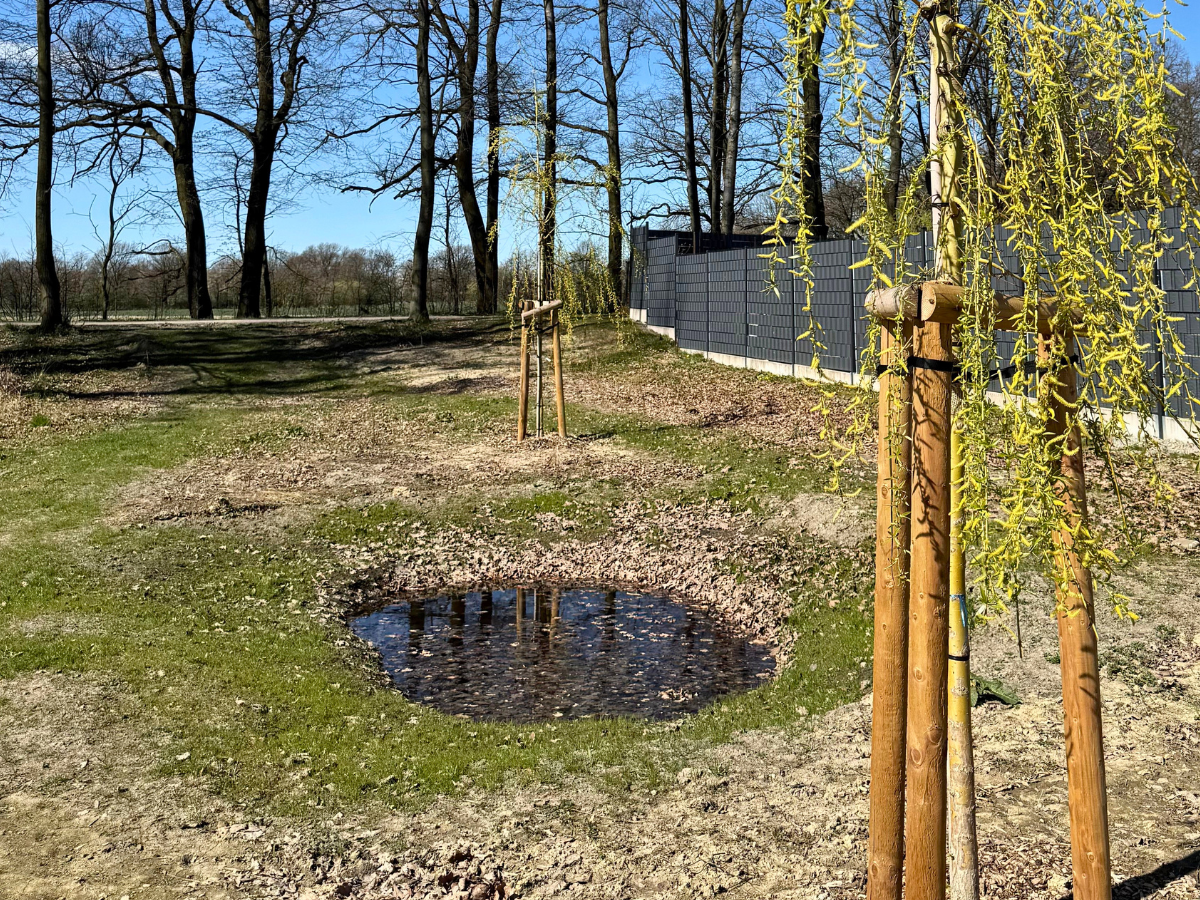 Mokřady II, Ostrava – Hrabová