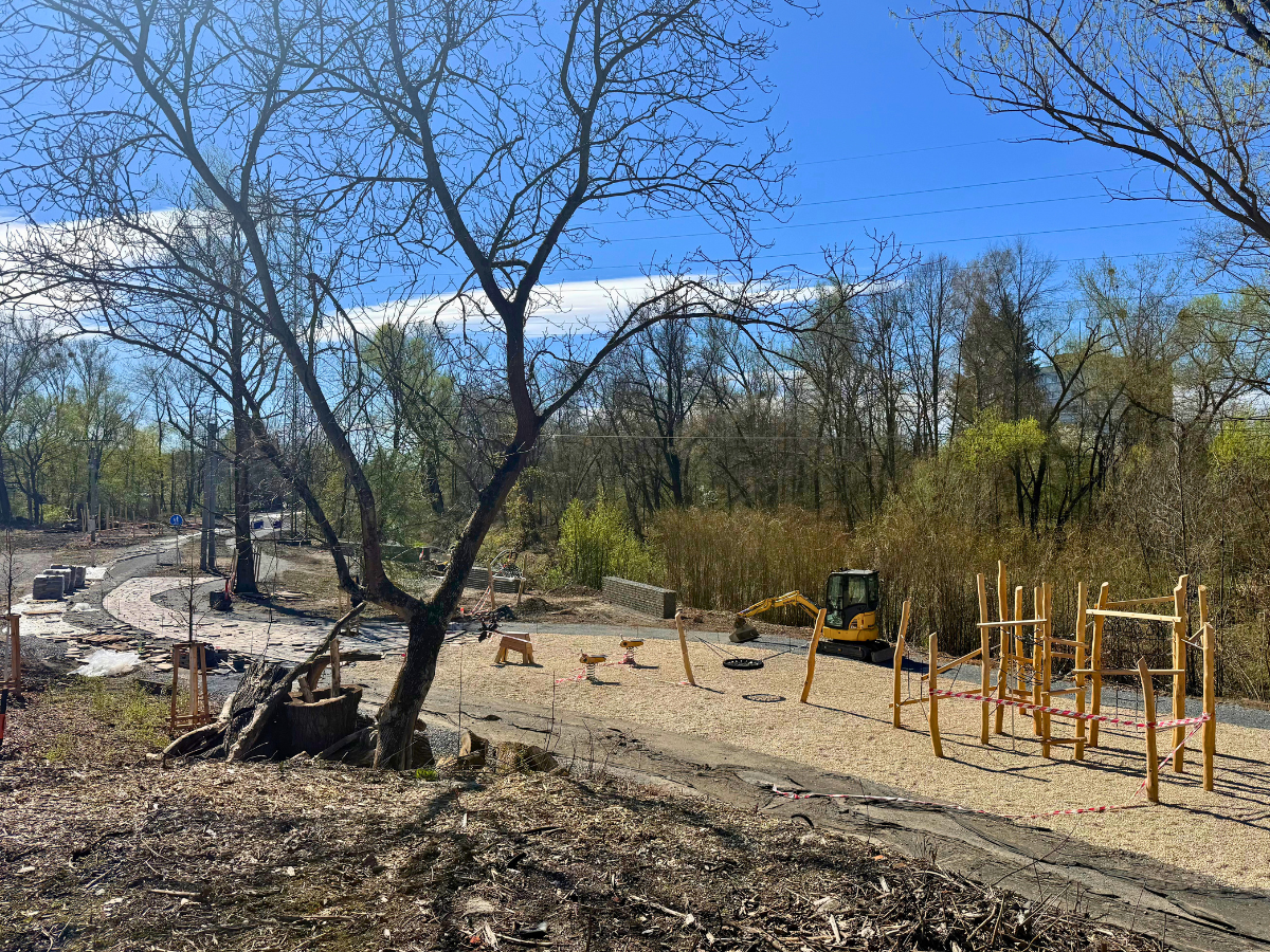 Regenerace území u Lučiny v Radvanicích