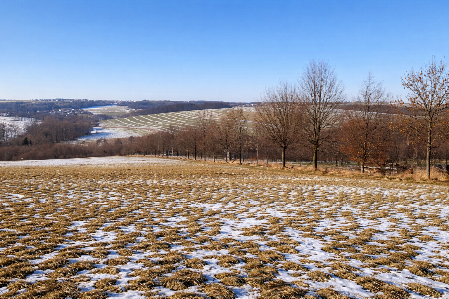 Nové úpravy Krásné Pole