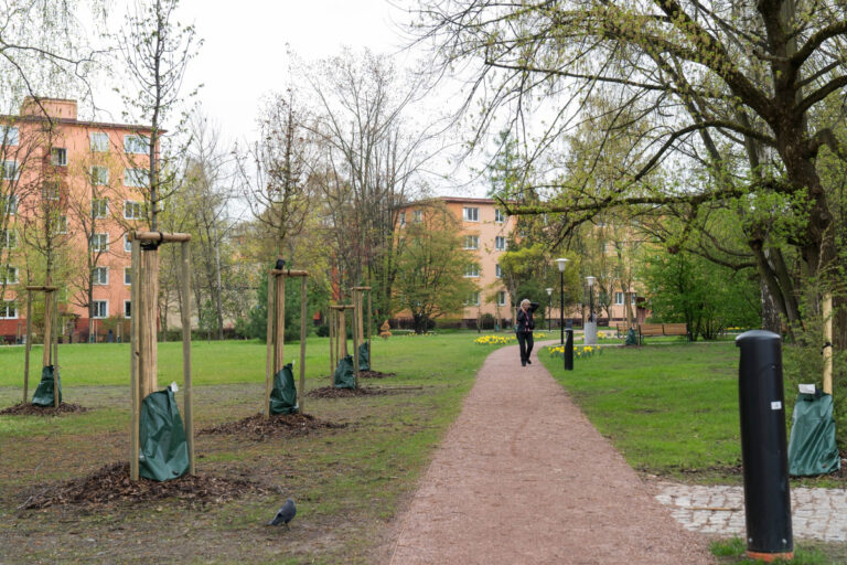 Náměstí Družby
