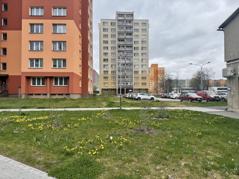 Výsledek revitalizace zeleně