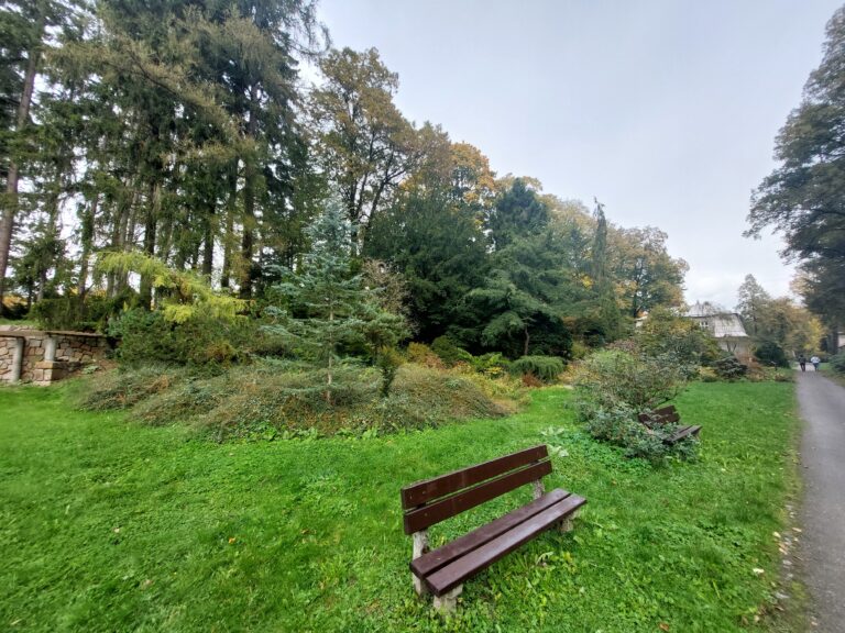 Alpinum - současný stav