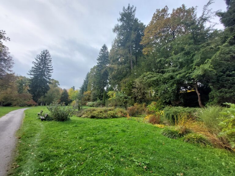 Alpinum - současný stav