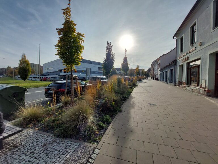 Výsadby travin a trvalek