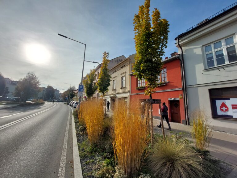 Výsadby trvalek a stromů