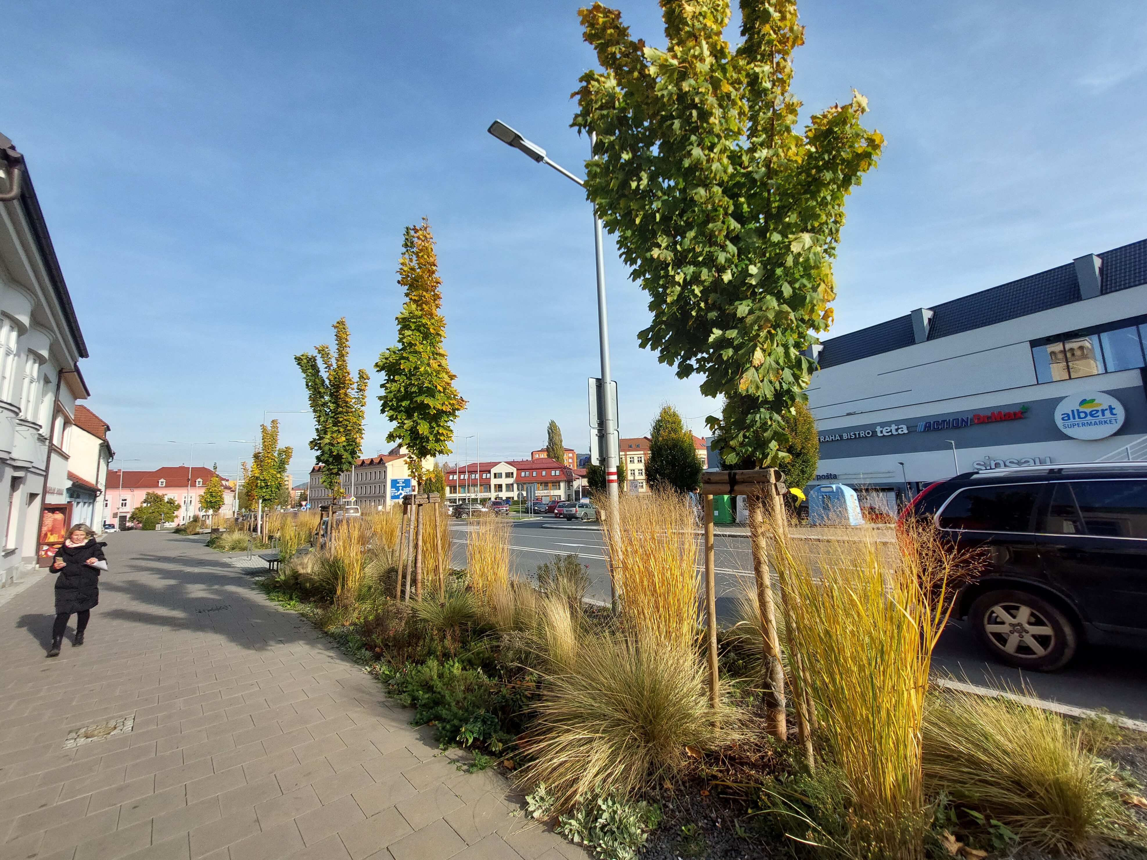 Výsadby na ulici