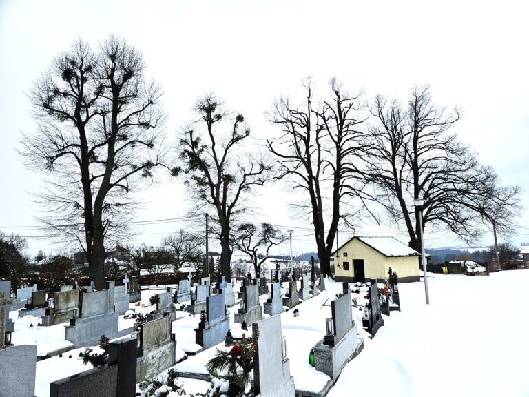 Stromy vyžadující arboristické ošetření