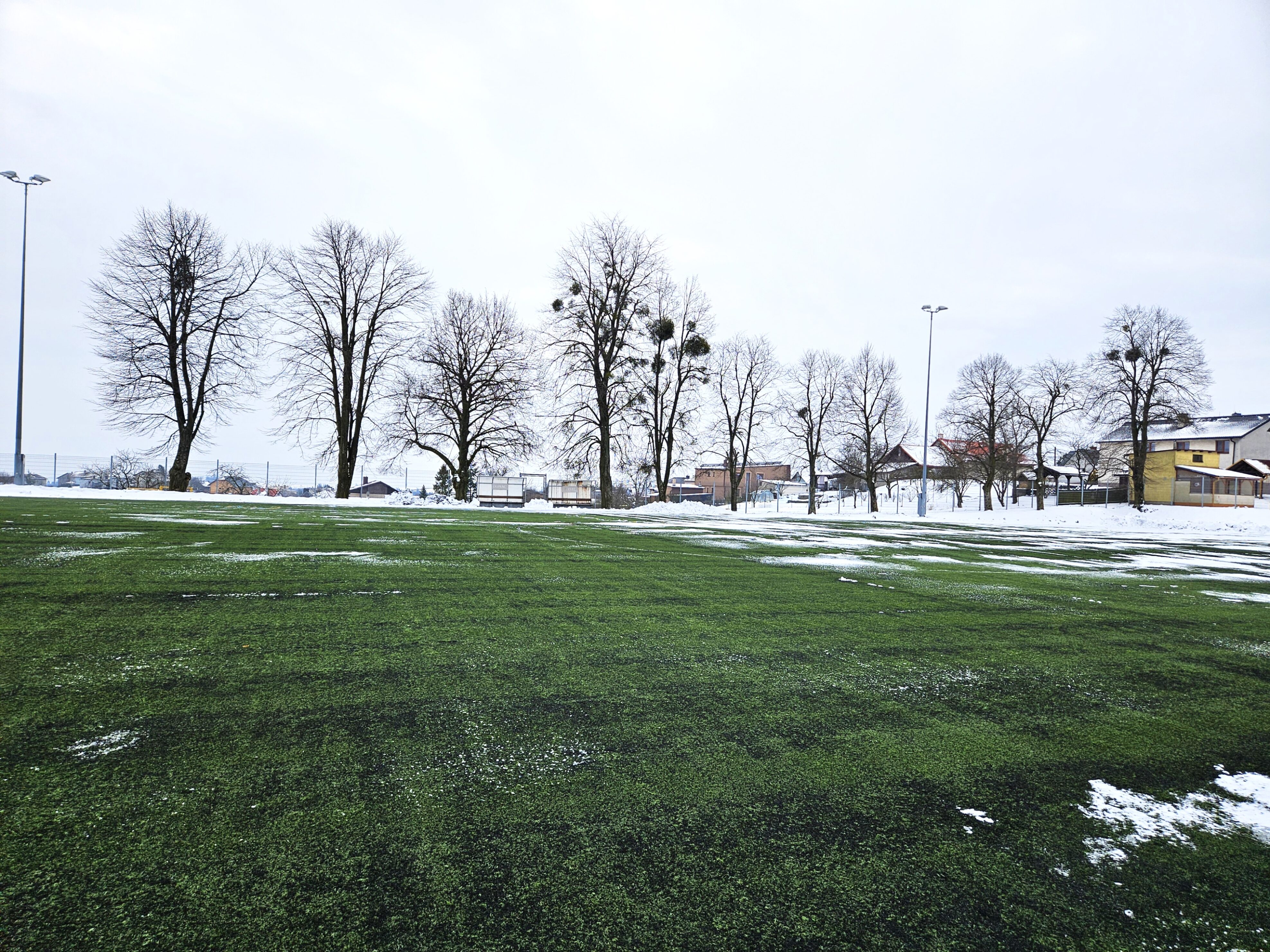 Stromy k ořezu jmelí