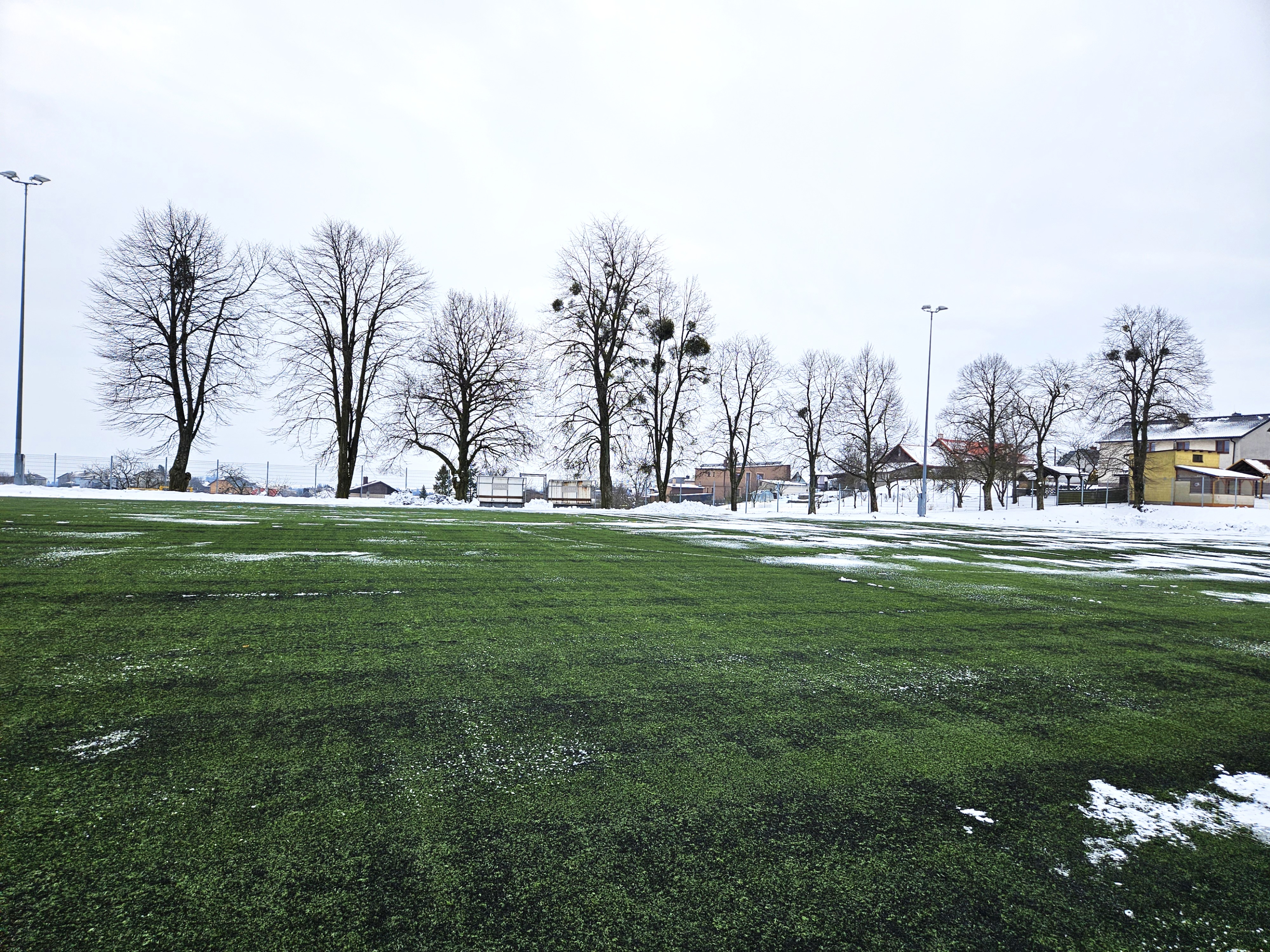 Stromy k ořezu jmelí