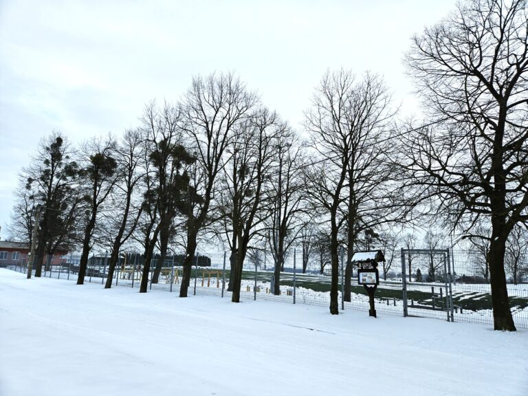 Stromy vyžadující arboristické ošetření