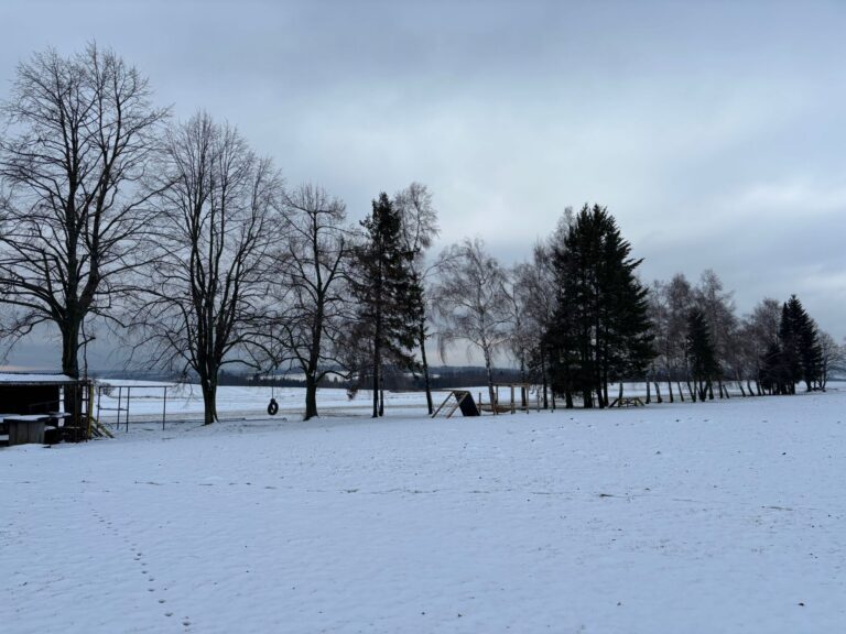 Místo pro novou výsadbu