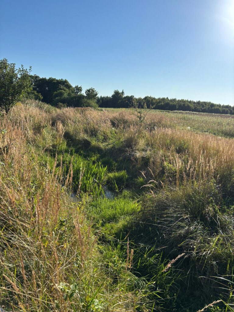 Napajedla pro zvěř