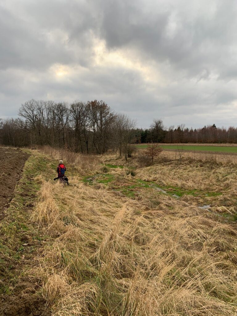 Napajedla pro zvěř