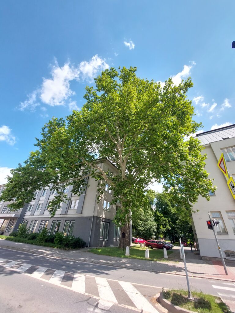Prostory u GVUO Ostrava