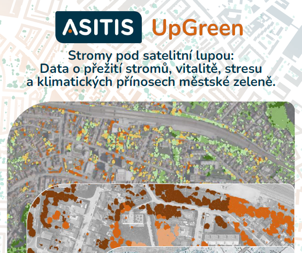 Stromy pod satelitní lupou